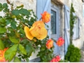 Maison à la vente